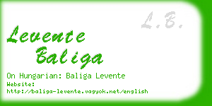 levente baliga business card